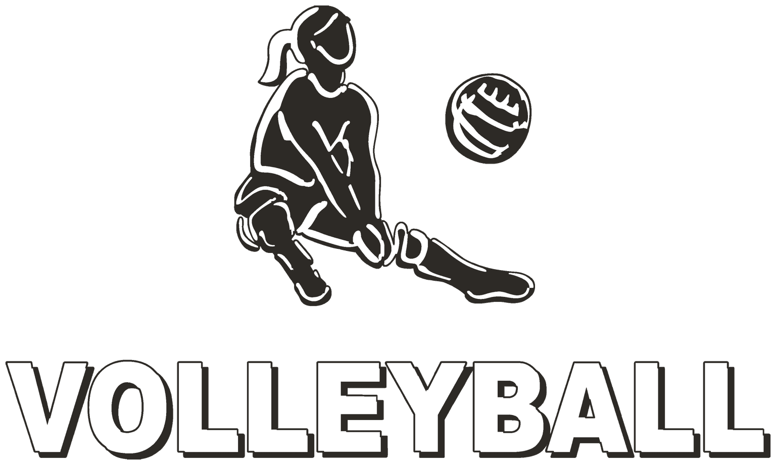 H2 Volleyball